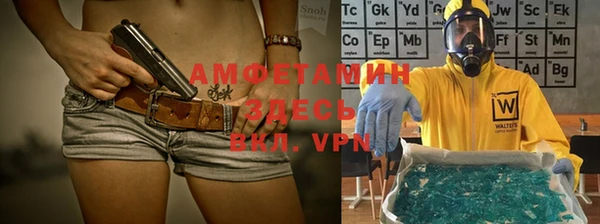 прущие грибы Няндома