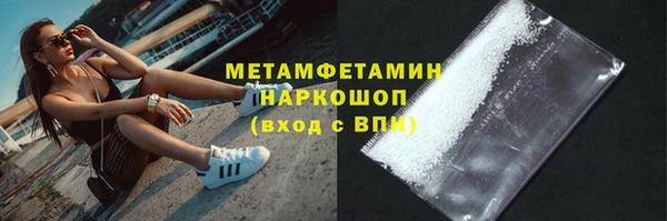 прущие грибы Няндома