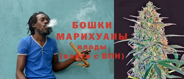 прущие грибы Няндома