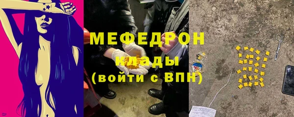прущие грибы Няндома