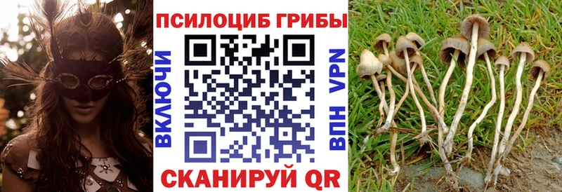 Псилоцибиновые грибы мухоморы  Тетюши 