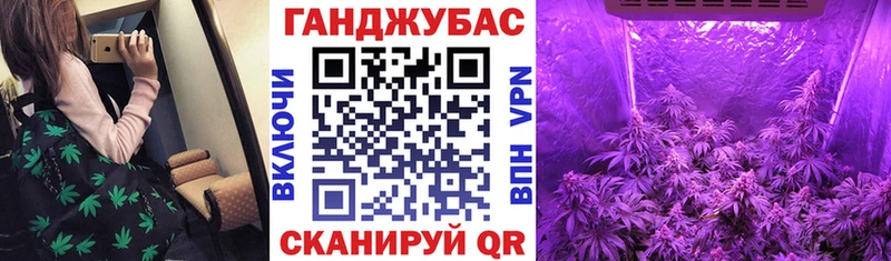купить наркоту  Тетюши  Конопля ГИДРОПОН 